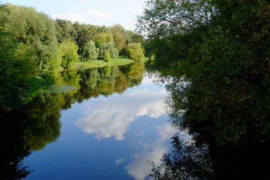 Mavi gökyüzüne karşı yeşil ağaçlar