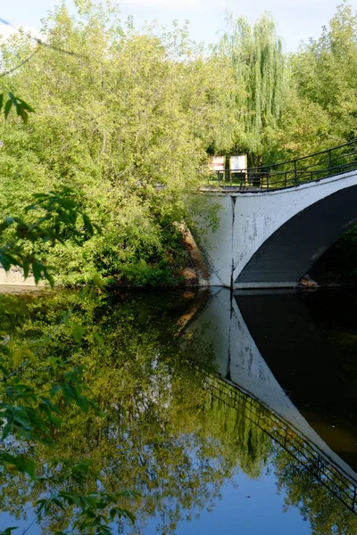 Reflexão Uma Ponte Uma Árvore Água — Fotografia de Stock