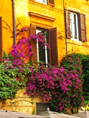 Çiçekli Roma İtalya penceresi