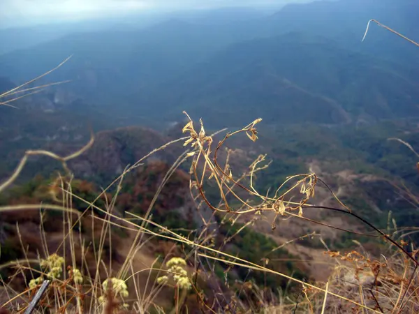 Montañas Campos Otoño Armenia — Foto de Stock