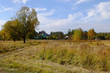 Arazi ve ağaçların sonbahar manzarası