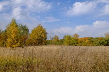 Arazi ve ağaçların sonbahar manzarası