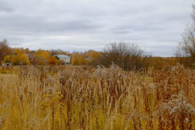 Arazi ve ağaçların sonbahar manzarası