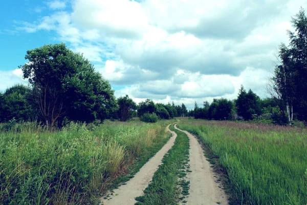 Baharda yeşil bir tarladan geçen bir yol.