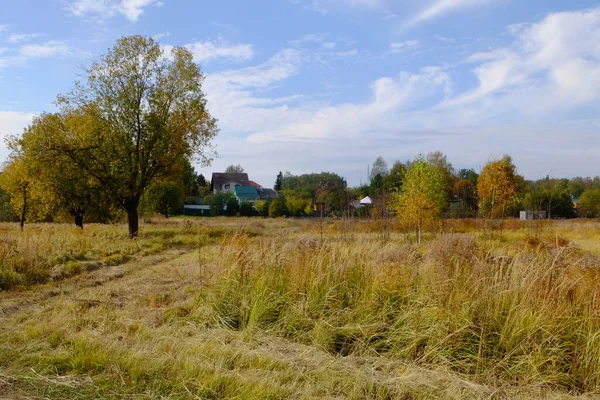 Arazi ve ağaçların sonbahar manzarası