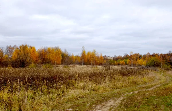 Väg Bland Fält Ljusa Höstdagar — Stockfoto