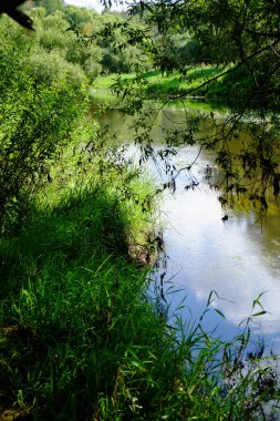 Nehir Bankası yeşil ağaçların yansıması