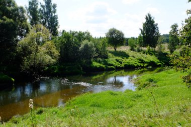 Nehir, yeşil ağaçların yansımasıdır.