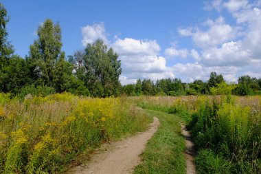 Çimlerin üzerinde güzel bir yol