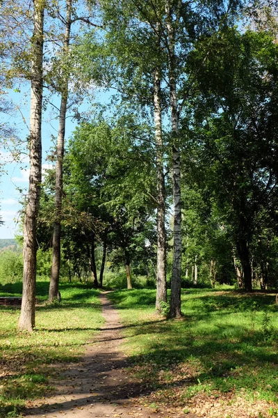 Ścieżka Parku Wśród Drzew — Zdjęcie stockowe