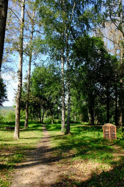 Sentiero Nel Parco Tra Gli Alberi — Foto Stock