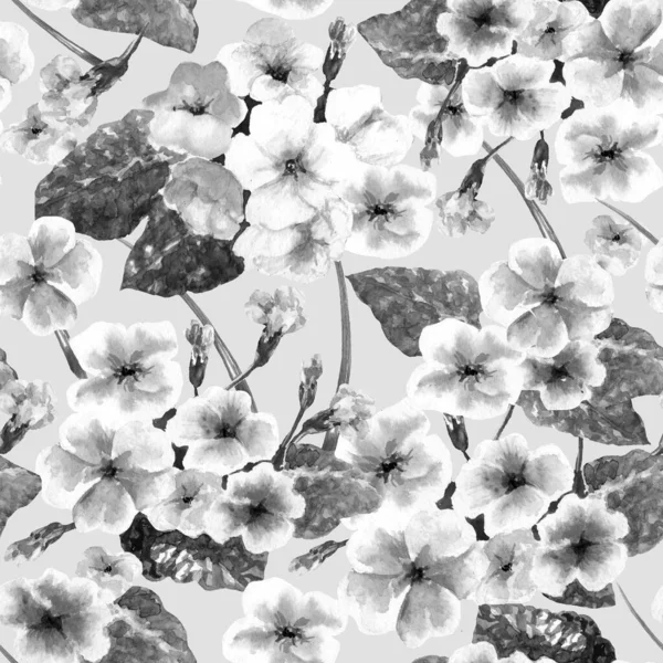 seamless pattern watercolor primrose flowers graphics