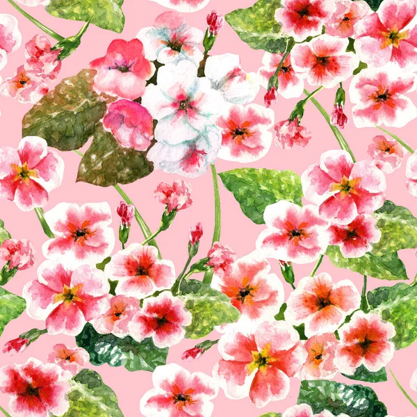 Bezszwowy Wzór Akwarela Pierwiosnka Kwiaty Magenta — Zdjęcie stockowe
