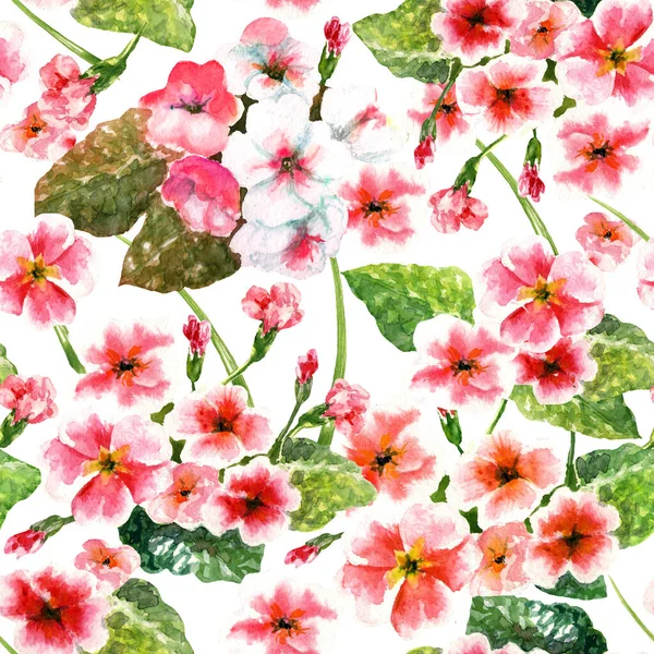 Bezszwowy Wzór Akwarela Kwiaty Pierwiosnka — Zdjęcie stockowe