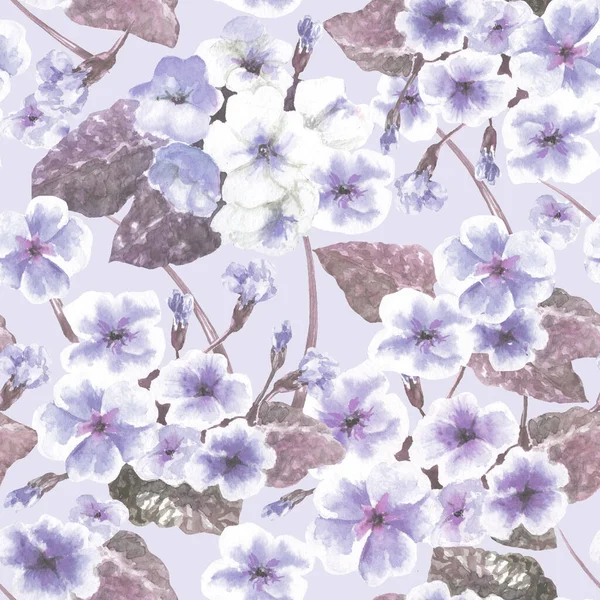 Zökkenőmentes Minta Akvarell Primrózsa Virágok Lila — Stock Fotó