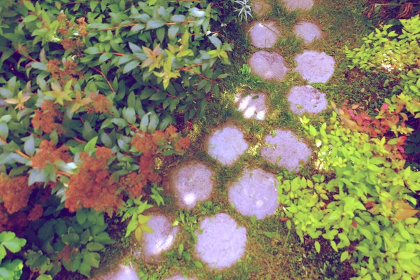 Chemin Tuiles Dans Jardin Verdoyant — Photo