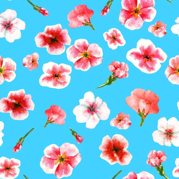 Kusursuz Desenli Suluboya Çuha Çiçeği — Stok fotoğraf