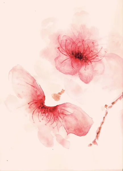 水彩イラスト桜桜 — ストック写真