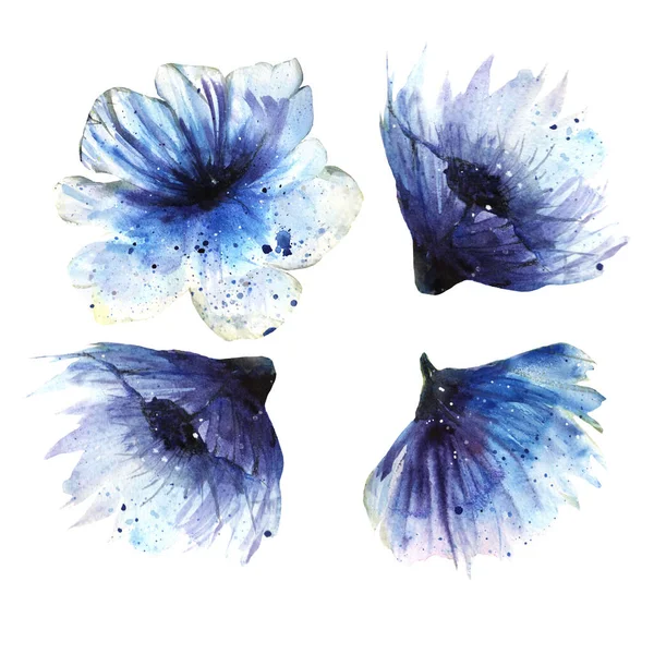 水彩画青の花をセット — ストック写真