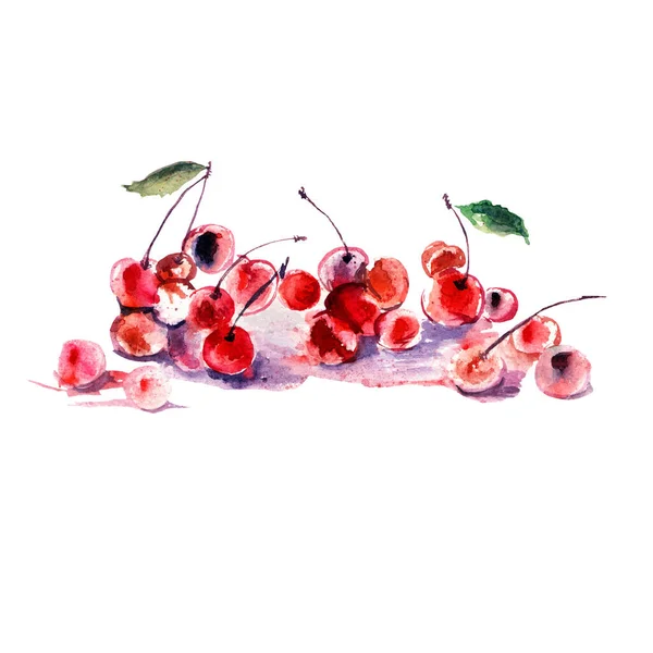 ジューシーな桜の水彩画 — ストック写真