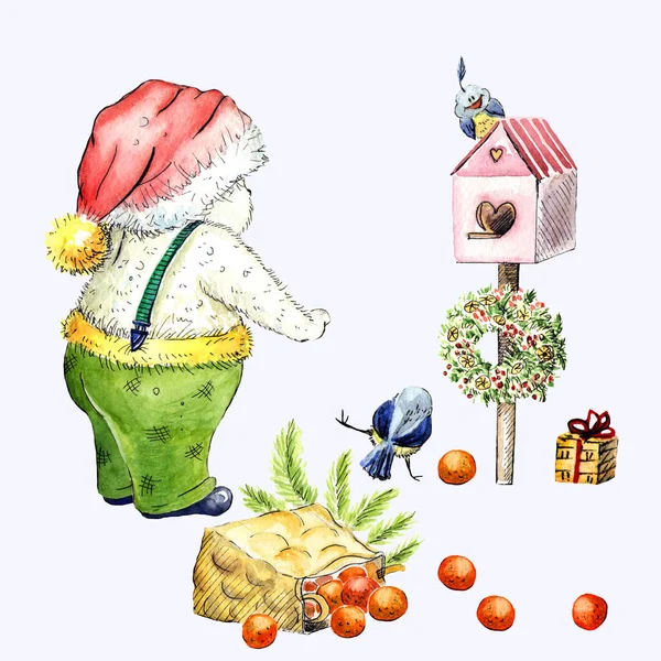 Serie Illustrazioni Acquerello Orso Birdhouse Uccello — Foto Stock