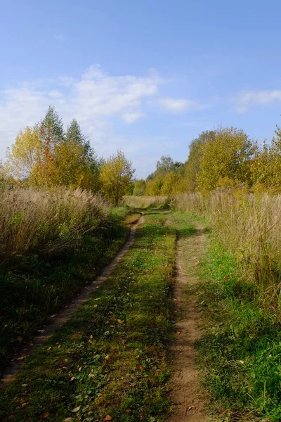 Route Vers Champ Automne — Photo