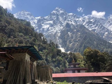 Tibet Platosu veya Himalaya çatı dünya ve dünyanın en yüksek plato 16.000 feet üzerinde ortalama bir ayrÃ½calÃ½k ile Tibet Platosu Himalayalar, en yüksek dorukları çevrilidir karakurum ve Pamir dağ aralıkları.