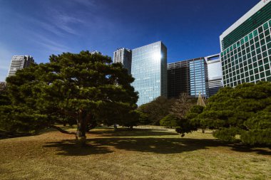 Tokyo 'daki Hamarikyu Bahçeleri ile yan yana gelen binalar. (