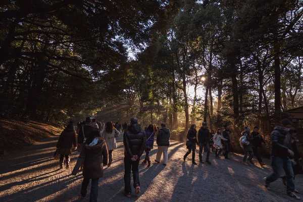 Luz Del Sol Radiante Sobre Gente Que Entra Santuario Meiji — Foto de Stock