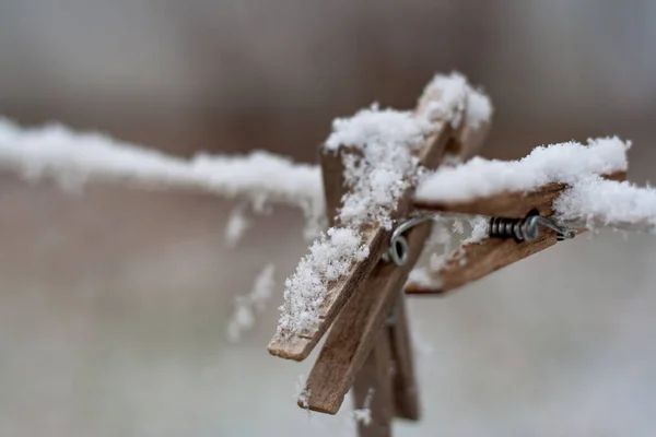 Neve Fresca Espinhas Roupa Uma Linha — Fotografia de Stock