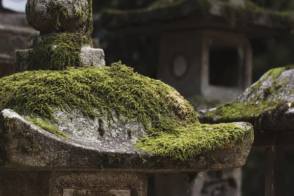 Moss Creciendo Parte Superior Las Linternas Japonesas Piedra — Foto de Stock