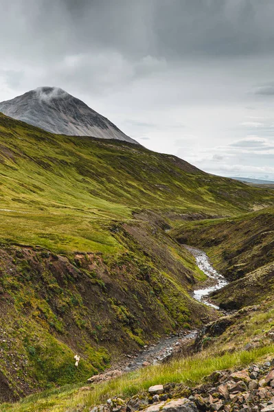 Fiume Islandese Che Attraversa Backcountry Una Giornata Nuvolosa — Foto Stock