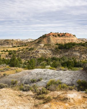 Theodore Roosevelt Ulusal Parkı 'ndaki Boyalı Kanyon' un Kayaları ve Çimlerini İzleyin