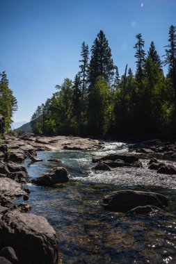 Montana Dağları 'ndan akan Kuğu Nehri