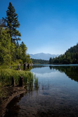 Montana 'daki Sakin Göl' ün karşısındaki Orman Dağlarının Yansıması