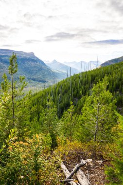 Buzul Ulusal Parkı 'nın Bulutlu Vadisi' ne Dağ Tepesi Manzarası