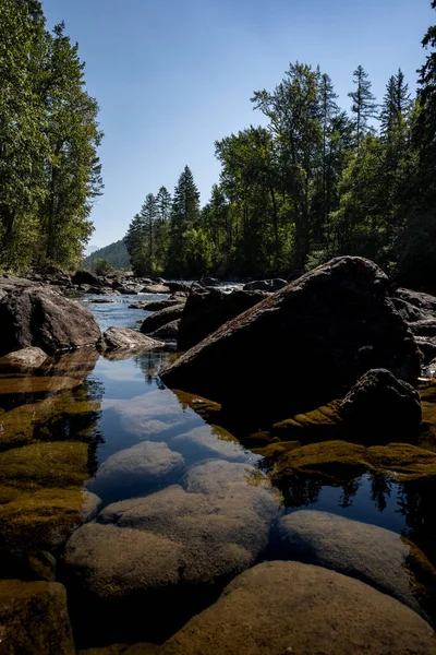 Lugnt Vatten Svanen Genom Klippor — Stockfoto