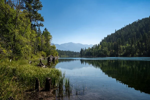 Reflection of Forested Mountains Across a Calm Lake in Montana