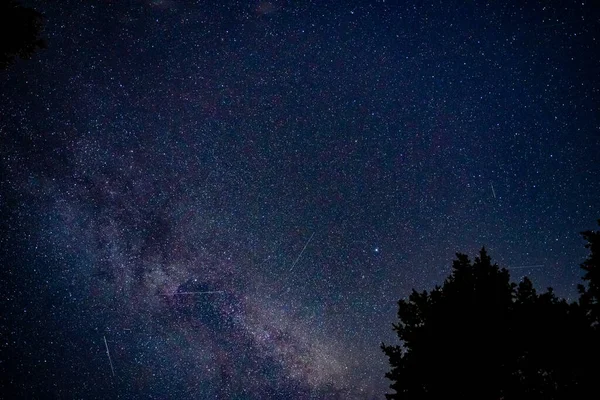 Montana 'daki Buzul Ulusal Parkı üzerinde Gece Gökyüzünde Samanyolu