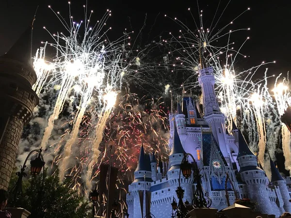 Lang Gelukkig Vuurwerk Disney — Stockfoto