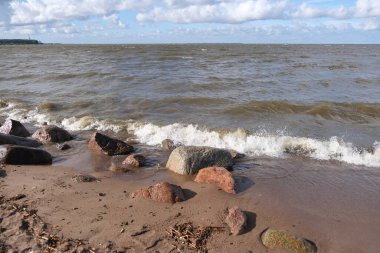 Finlandiya Körfezi kıyısı, Peterhof, Eylül, rüzgarlı hava, dalgalar