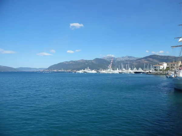 Montenegro Bahía Kotor Día Soleado Julio —  Fotos de Stock
