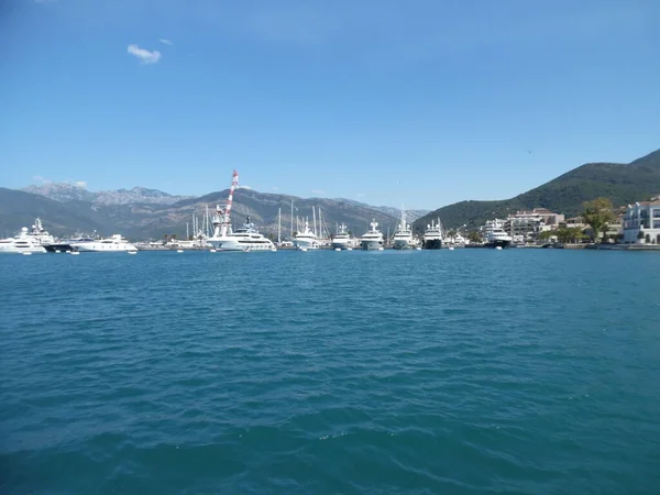 Montenegro Bucht Von Kotor Sonniger Tag Juli — Stockfoto