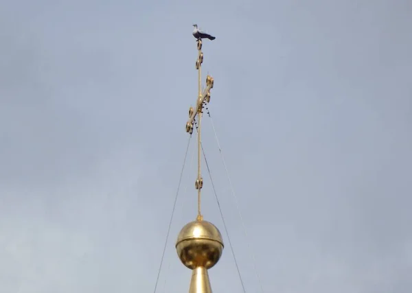 Russland Weliki Nowgorod Metalltaube Auf Dem Kreuz Der Sophienkathedrale — Stockfoto