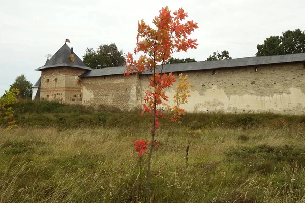 Pskov Pechora Manastırında Sonbahar Duvarlar Kuleler Bitkiler — Stok fotoğraf