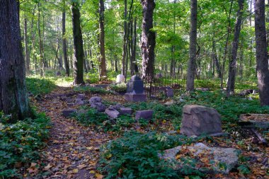 Eski mezarlıkta sonbahar.