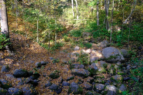 Stones Streams Old Park — Stock Photo, Image