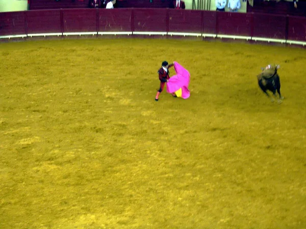 Tauromachie Portugaise Une Arène Lisbonne Portugal — Photo