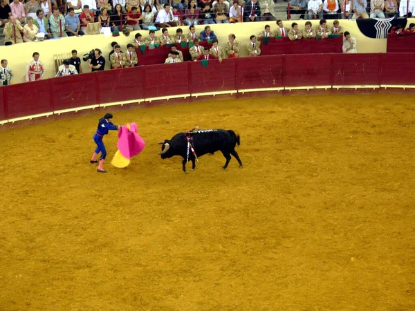 Tauromachie Portugaise Une Arène Lisbonne Portugal — Photo