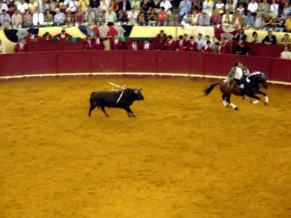 Tauromachie Portugaise Une Arène Lisbonne Portugal — Photo